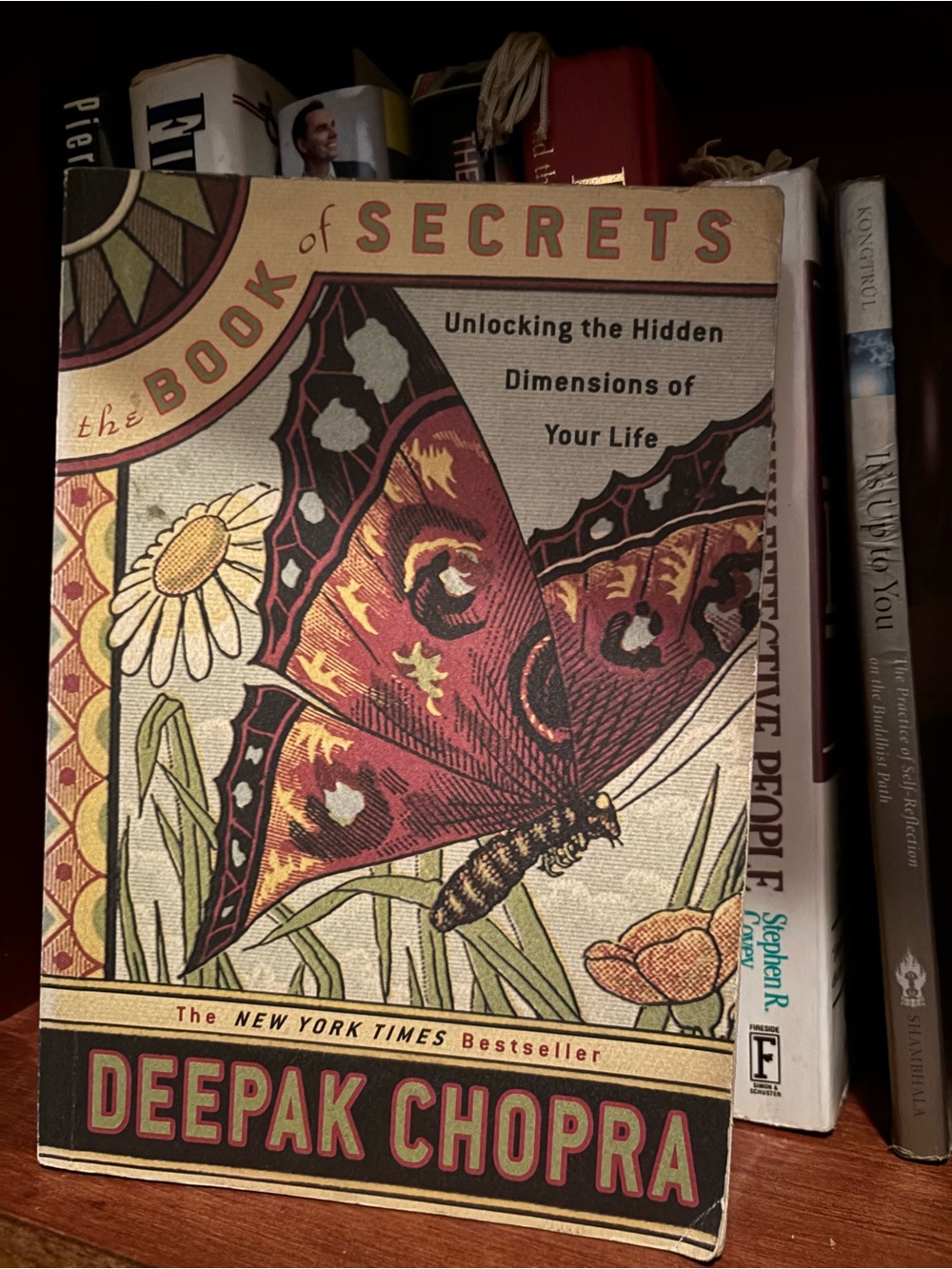 The Book of Secrets by - Red Butterfly Cover
